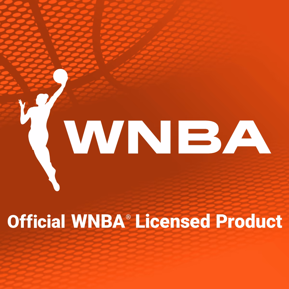 Chicago Sky Franklin Sports Over-the-Door Basketball Hoop Set 14 Chicago Sky Franklin Sports Over-the-Door Basketball Hoop Set